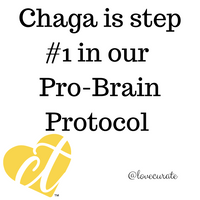 Chaga is Step #1 in our Pro-Brain Protocol