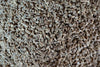 Organic Anise Sprouting Seeds