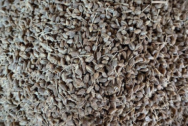 Organic Anise Microgreen Seeds