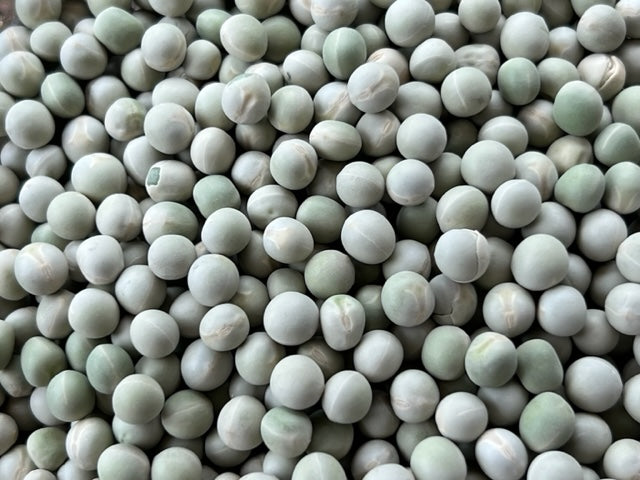 Organic Green Pea Sprouting Seeds