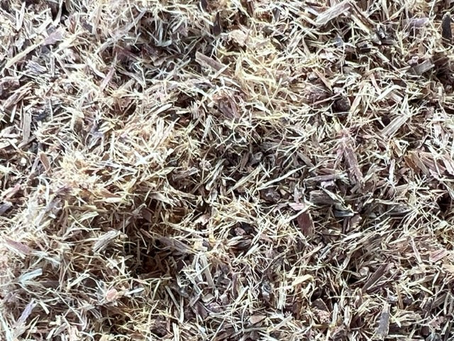 Wild Harvested Cat's Claw