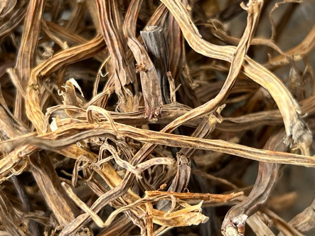 Wild Harvested Jamaican Sarsaparilla