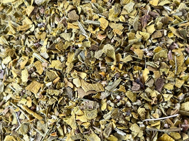 Organic European Mistletoe