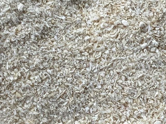 Organic Onion Powder