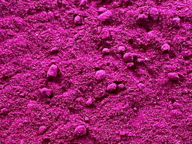 Organic Red Dragon Fruit Powder