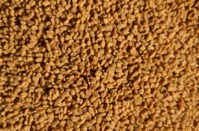 Organic Fenugreek Sprouting Seeds