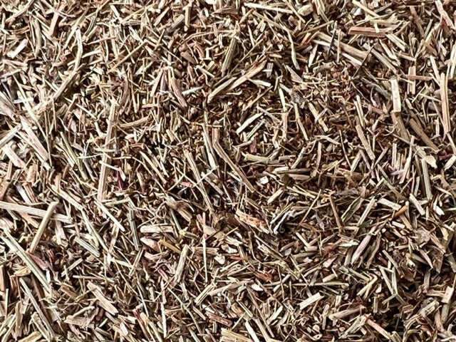 Organic Sheep Sorrel