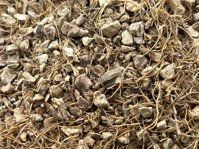 Wild Harvested Wild Yam Root