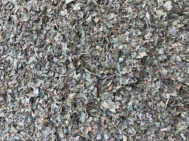 Organic Lemon Verbena