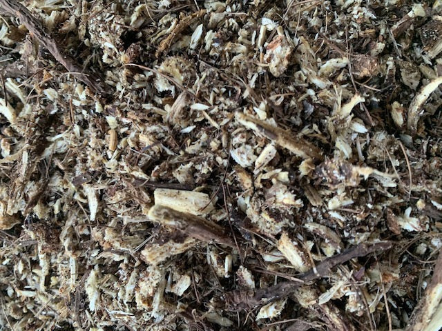 Wild Harvested Osha Root