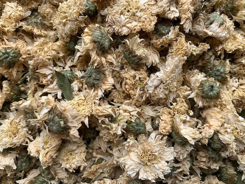 Organic Chrysanthemum Flowers