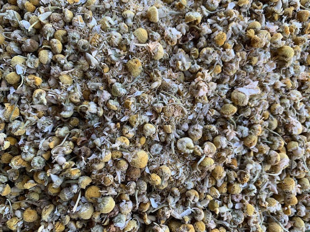 Organic Chamomile