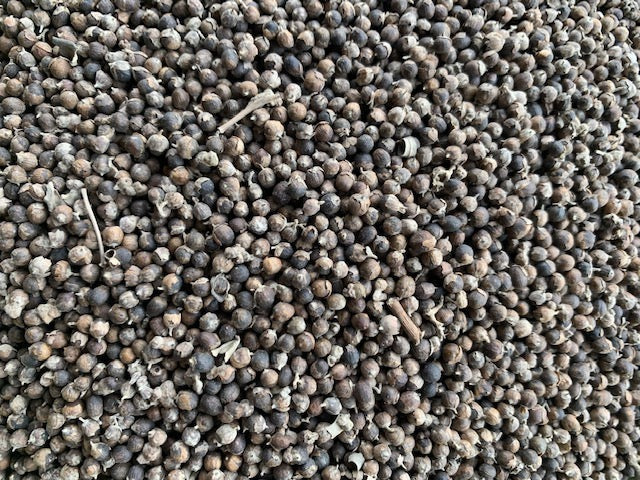 Organic Vitex (Chaste Berry)