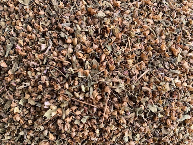 Organic Holy Basil (Rama)