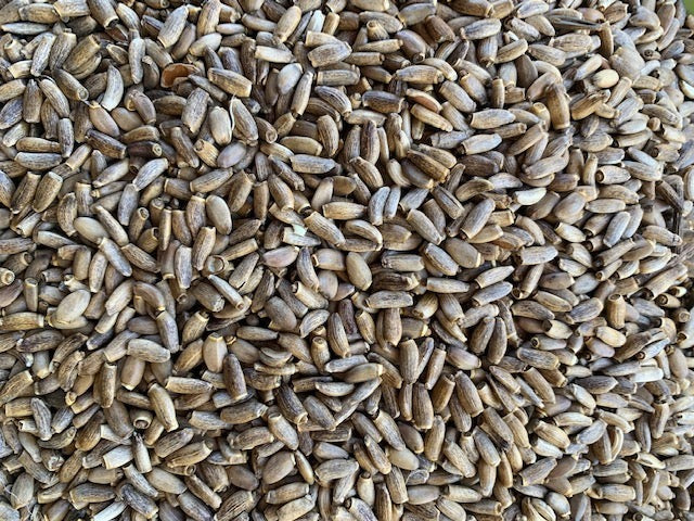 Organic Milk Thistle Seeds