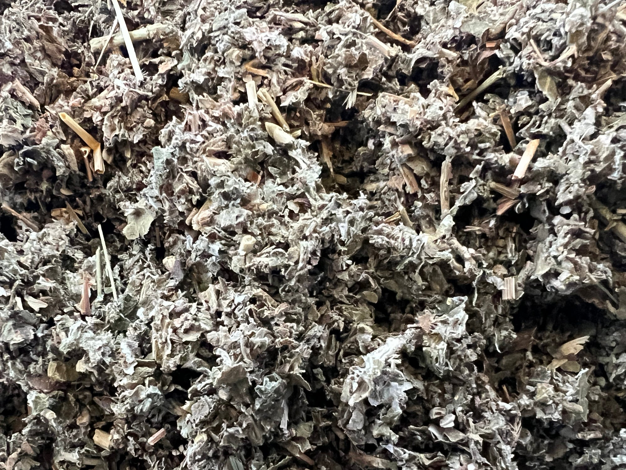 Organic Red Raspberry Leaf