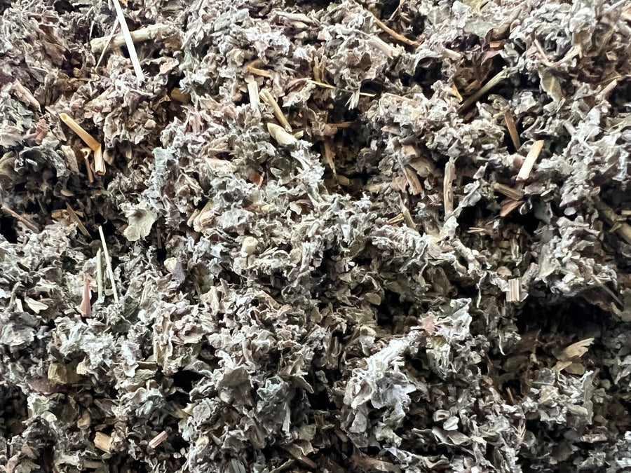 Organic Red Raspberry Leaf