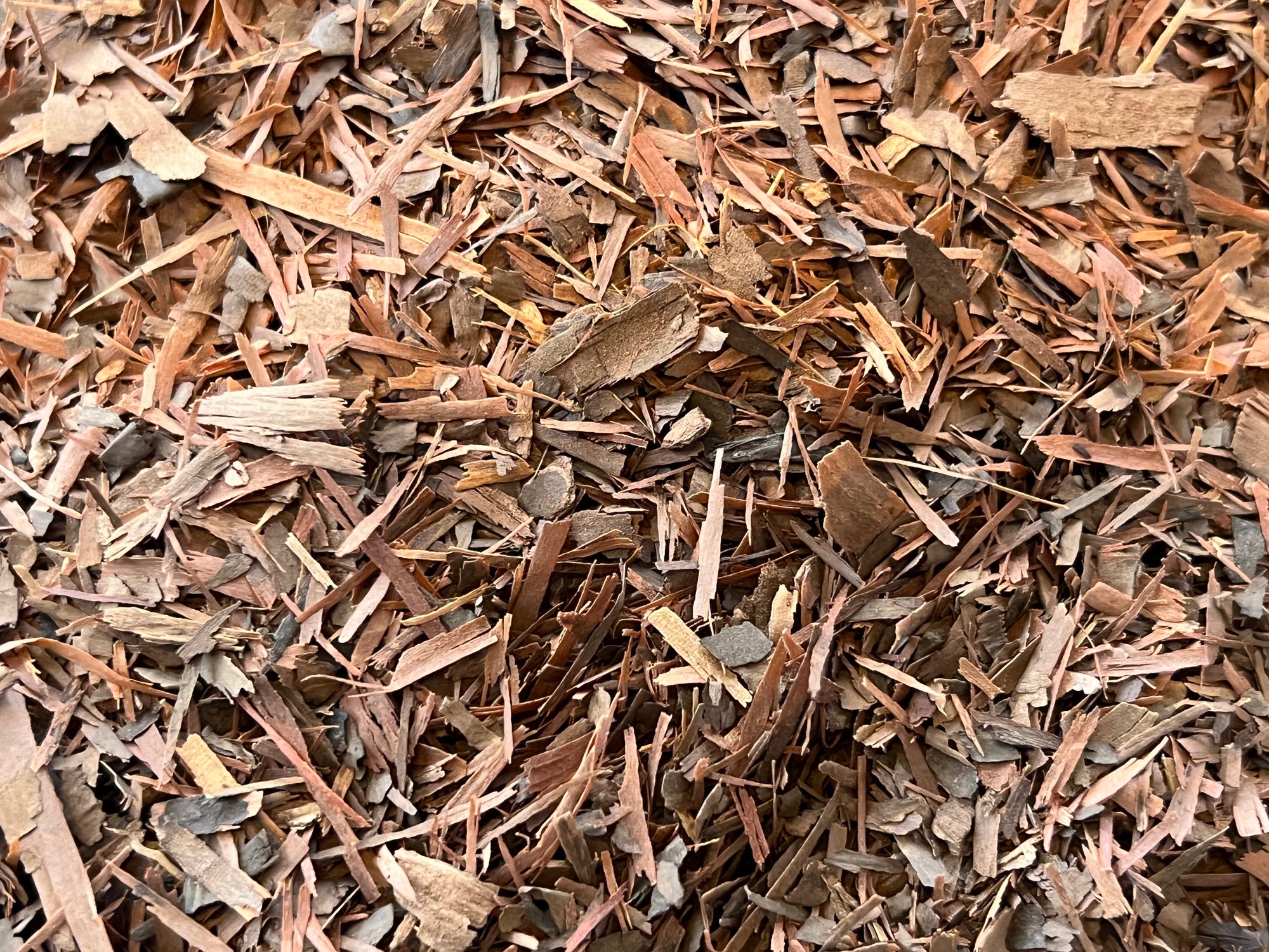 Wild Harvested Pau d'Arco Bark