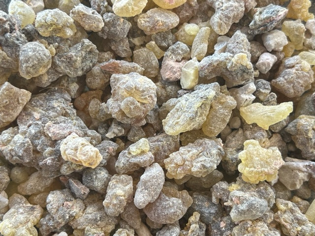 Wild Harvested Frankincense Tears