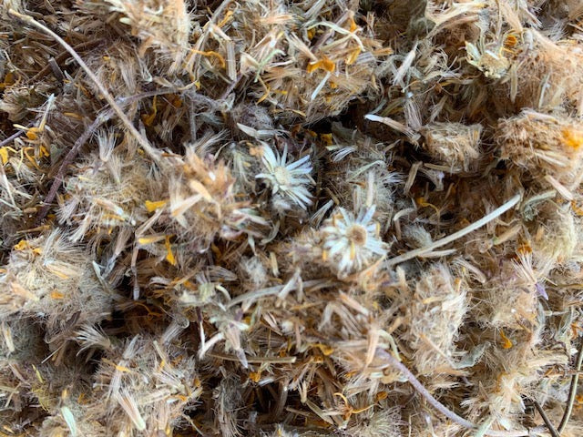 Organic Arnica Flower (Mexican)