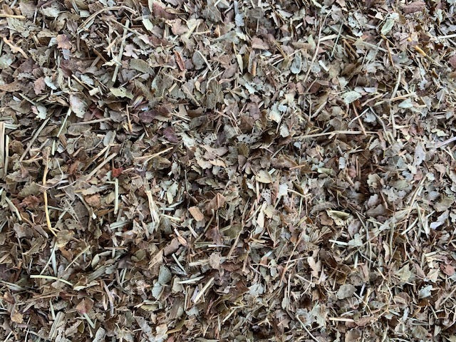 Organic Bilberry Leaf