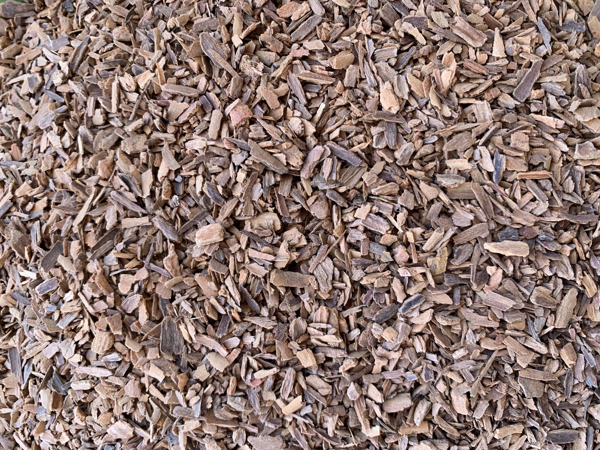 Organic Ceylon Cinnamon Chips