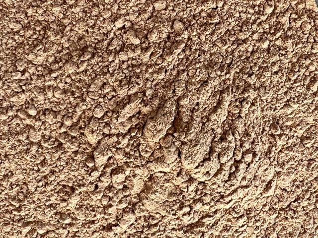 Organic Camu Camu Powder