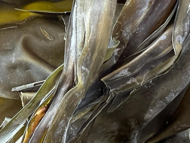 Organic Kombu