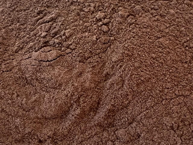 Wild Harvested Black Walnut Powder