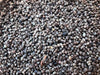 Organic Cardamom Seeds