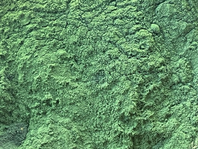 Wild Harvested Chlorella Powder