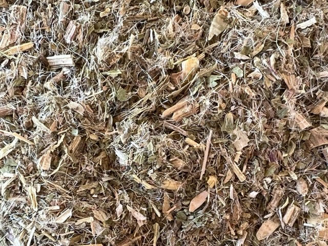 Organic Blessed Thistle